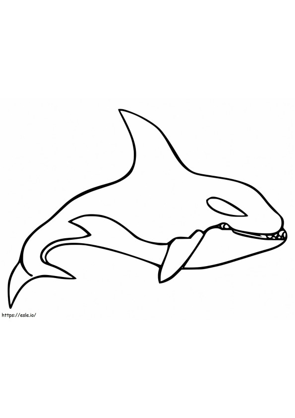 Balena ucigașă gratuită de colorat