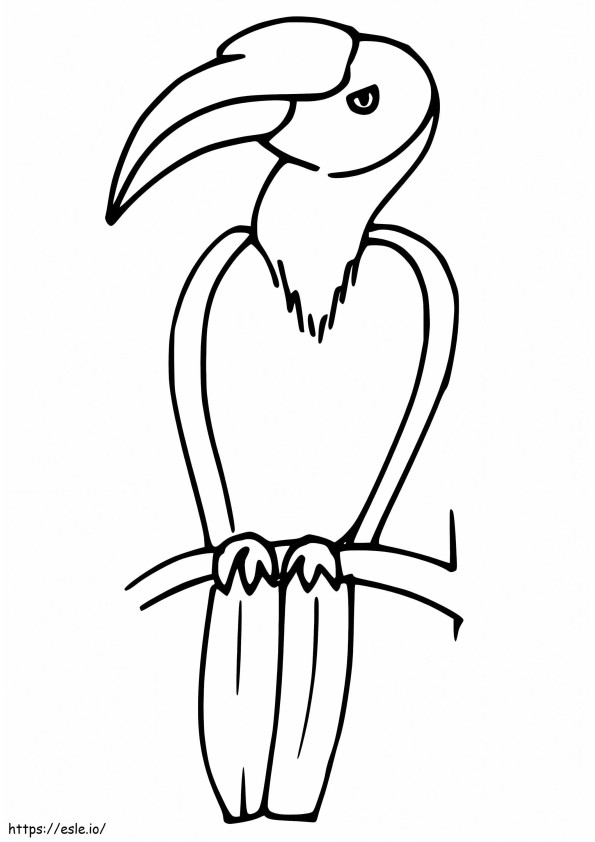 Free Hornbill coloring page