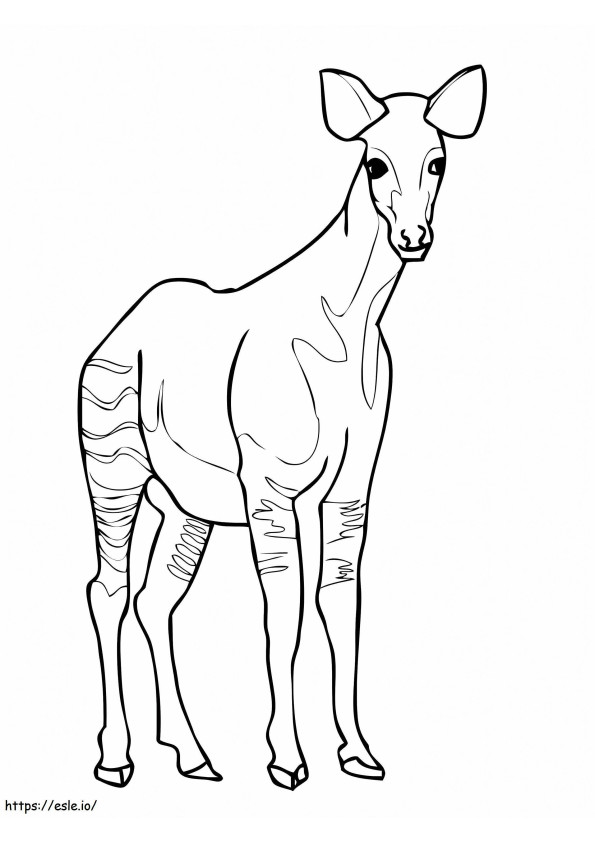 Okapi gratuito da colorare