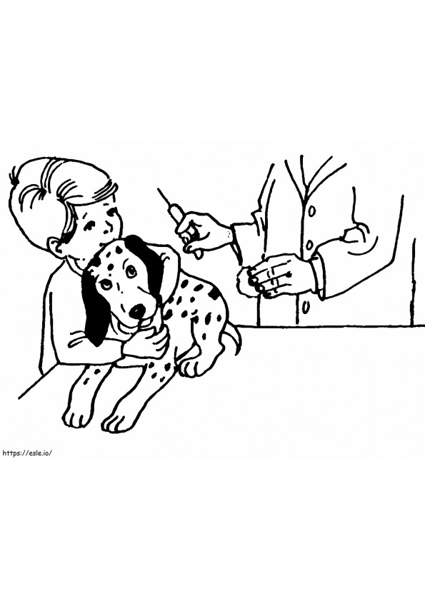 Veterinário para impressão