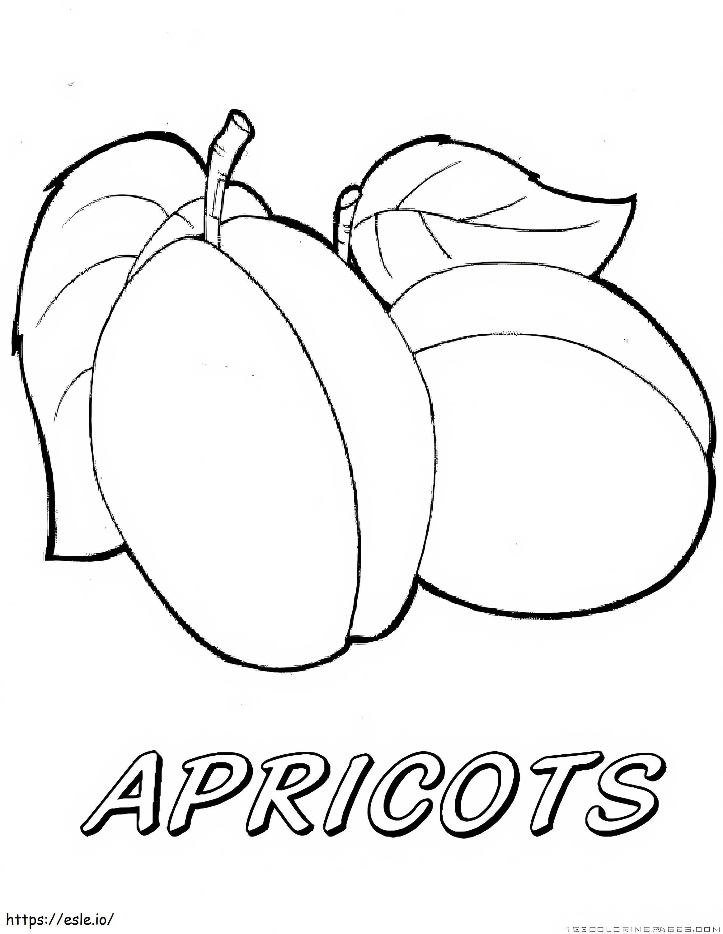 Two Apricot coloring page