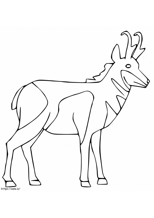 Pronghorn 1 coloring page