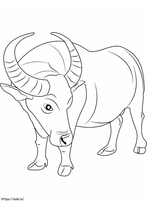 Búfalo normal para colorear