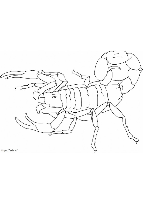 Scorpion Tulostettava värityskuva