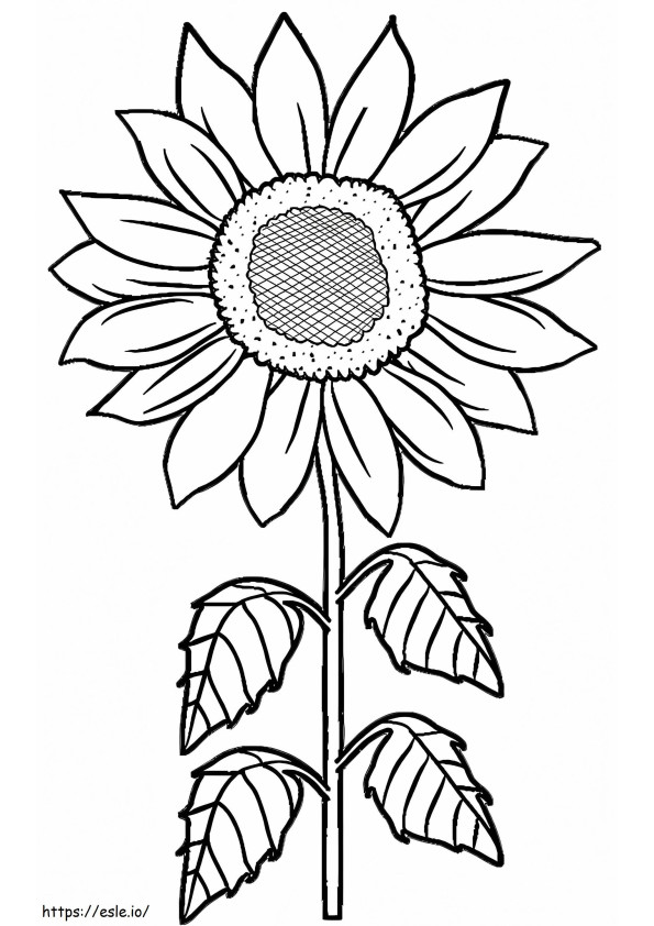 Sunflower 1 coloring page