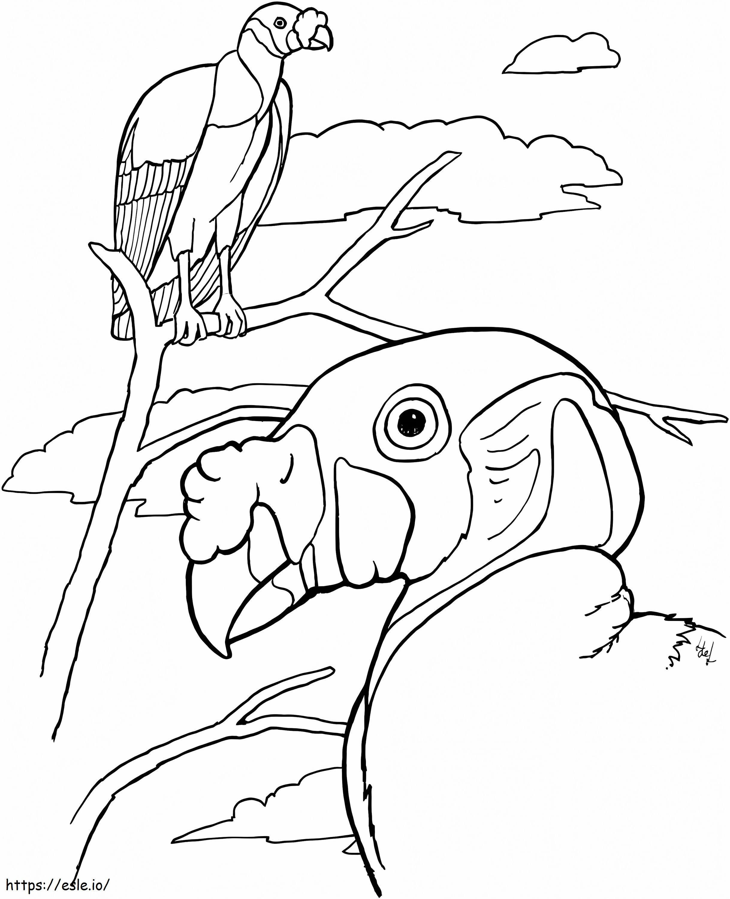 キングハゲワシ ぬりえ - 塗り絵