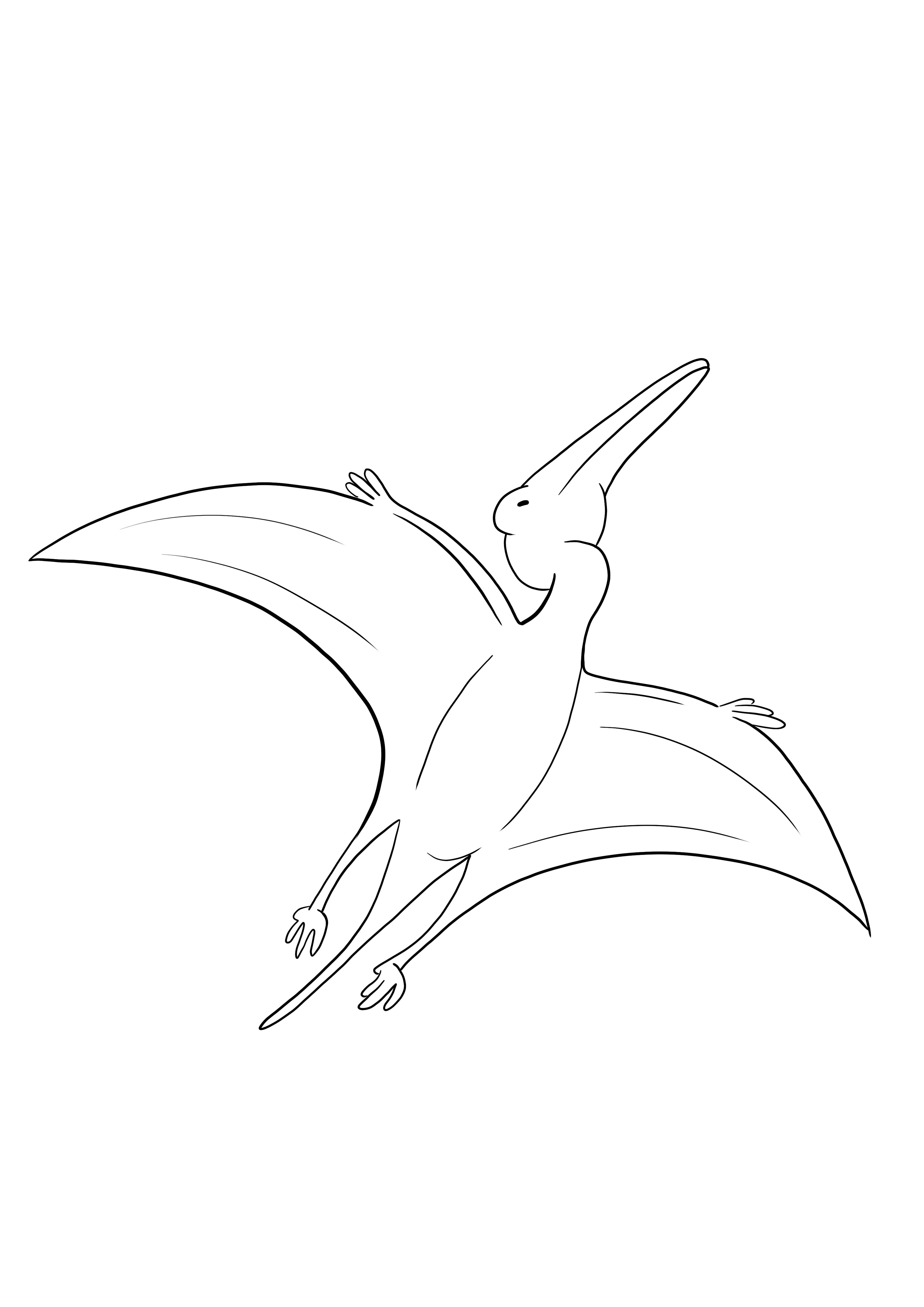 Flying pterodactyl for free downloading and coloring image