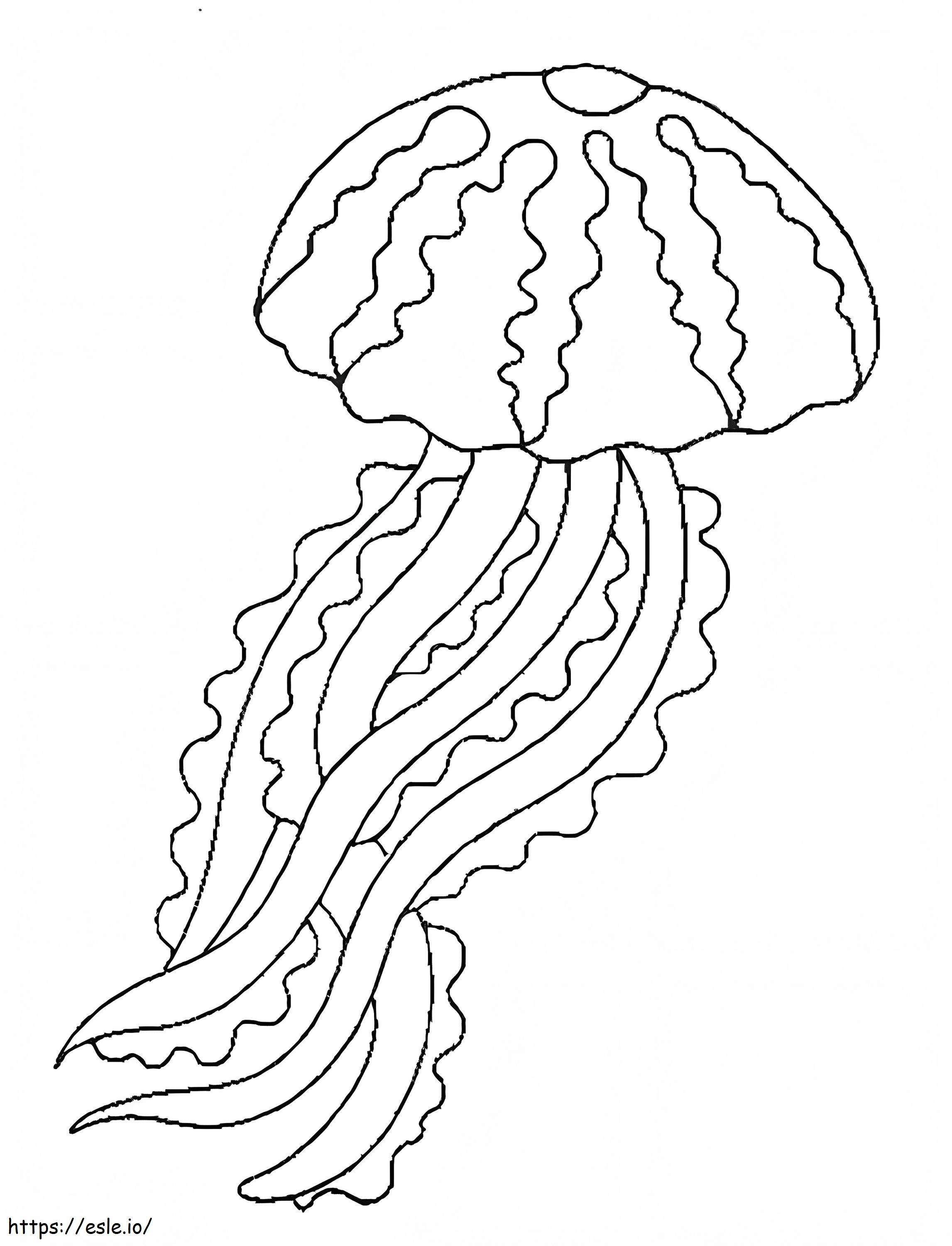 JellyFish tulostettava värityskuva