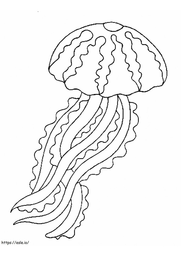 Meduse stampabili da colorare