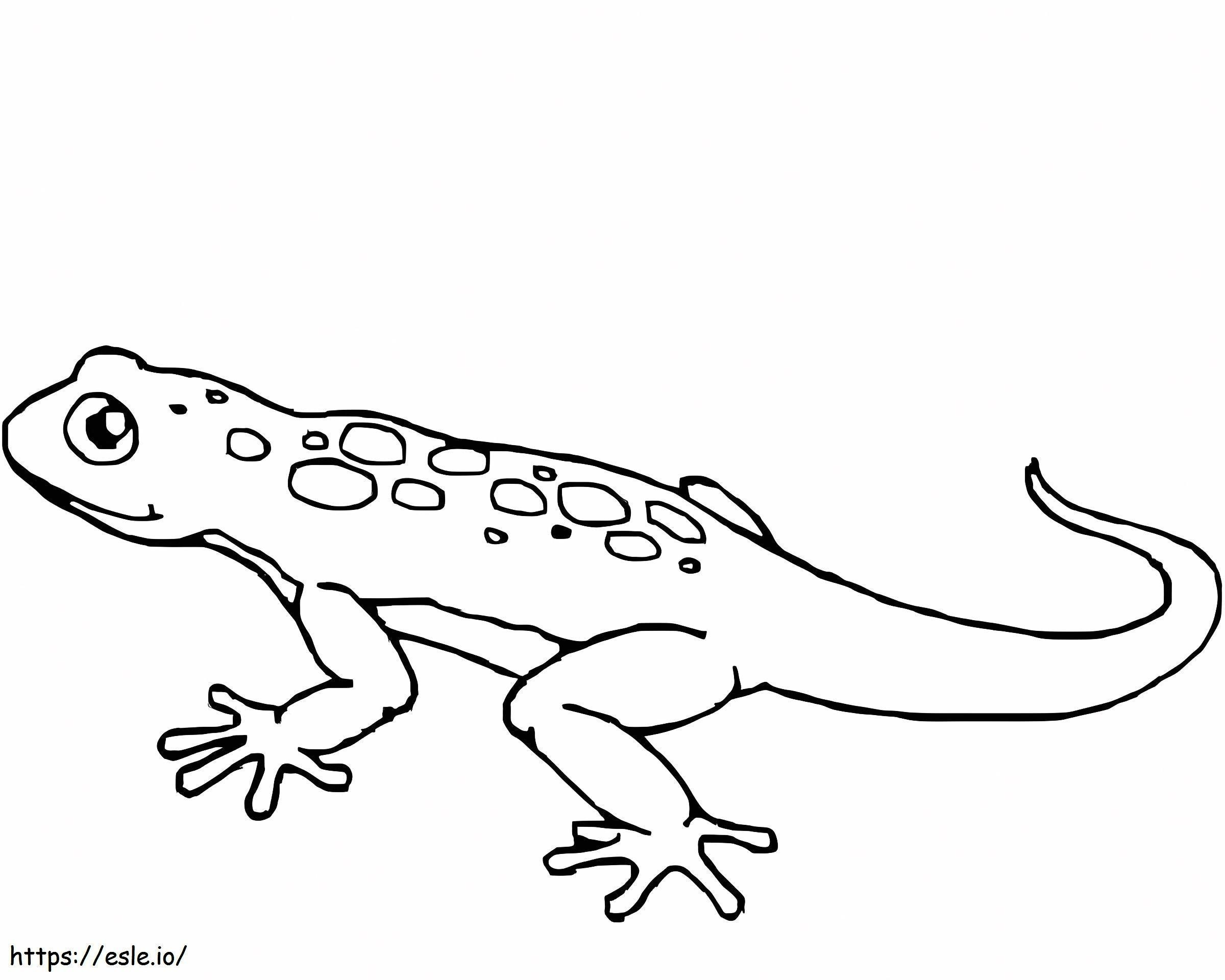 Coloriage Gecko incroyable à imprimer dessin