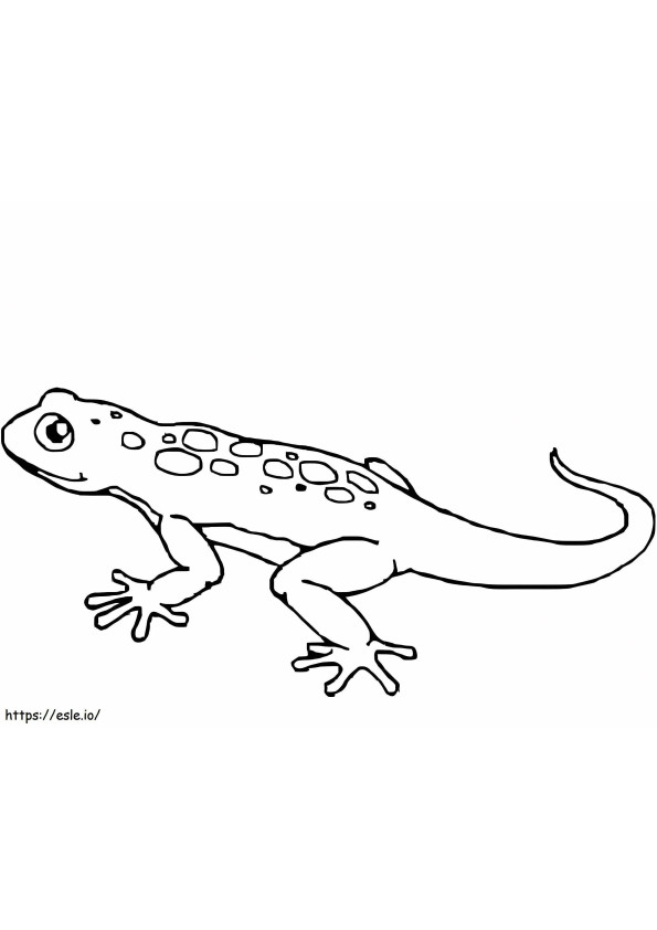 Amazing Gecko coloring page