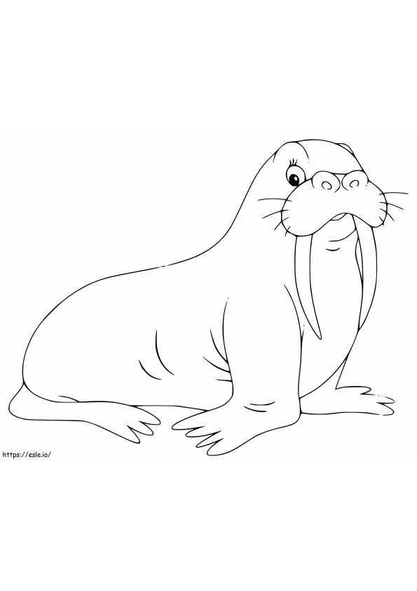 Walrus 17 coloring page