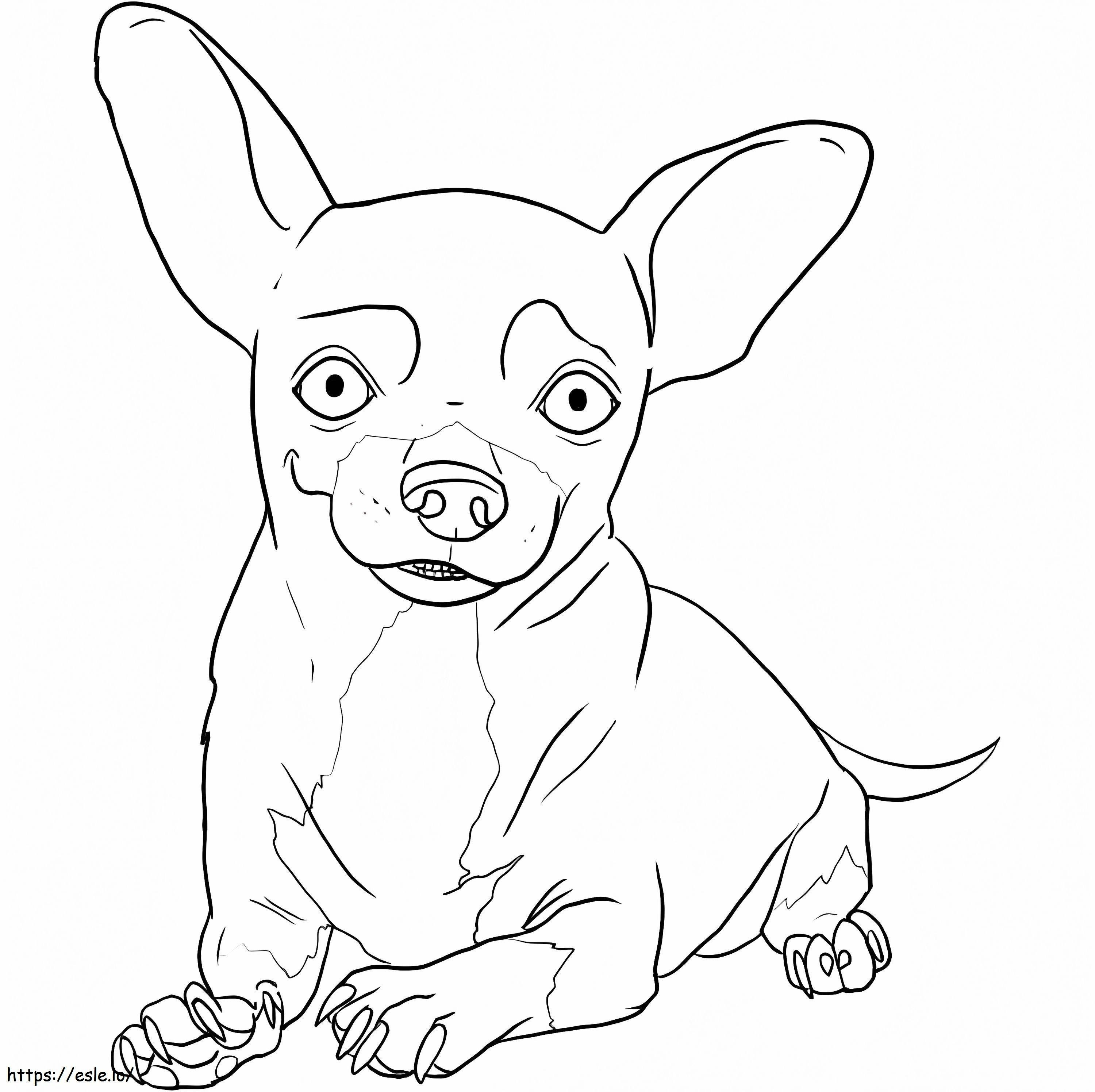 Chihuahua Terlihat Menyenangkan Gambar Mewarnai