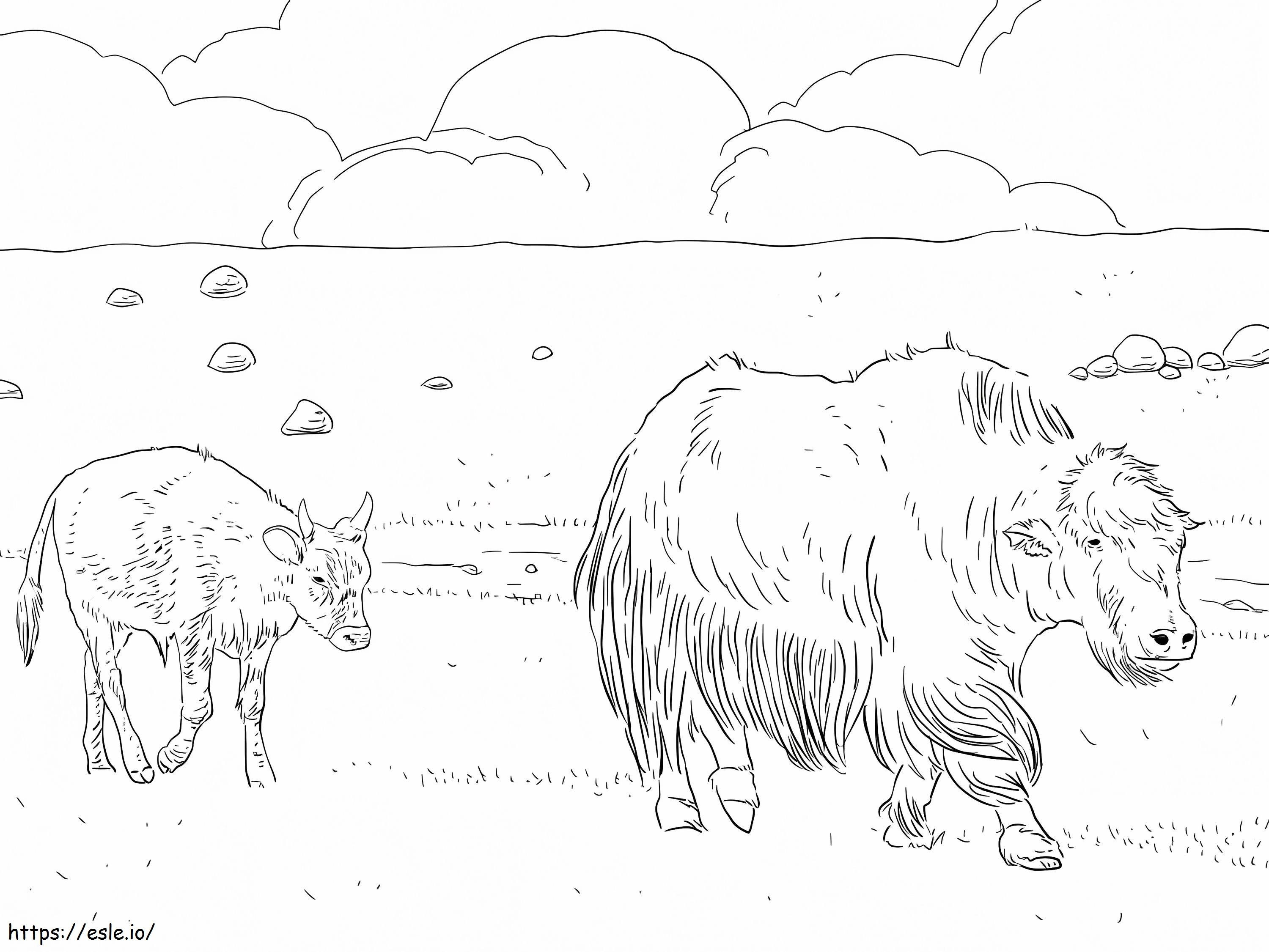 Yak Mother With Calf coloring page