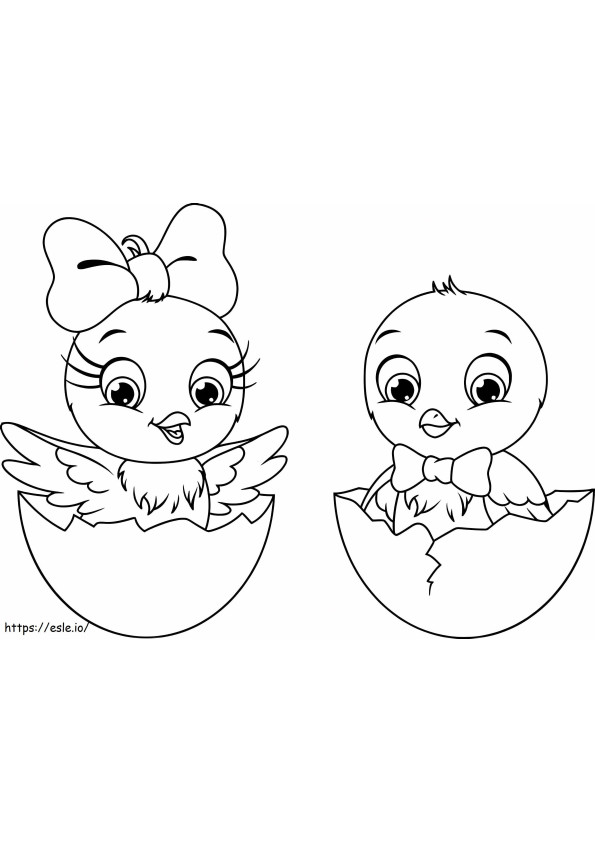 Male And Female Chicks coloring page