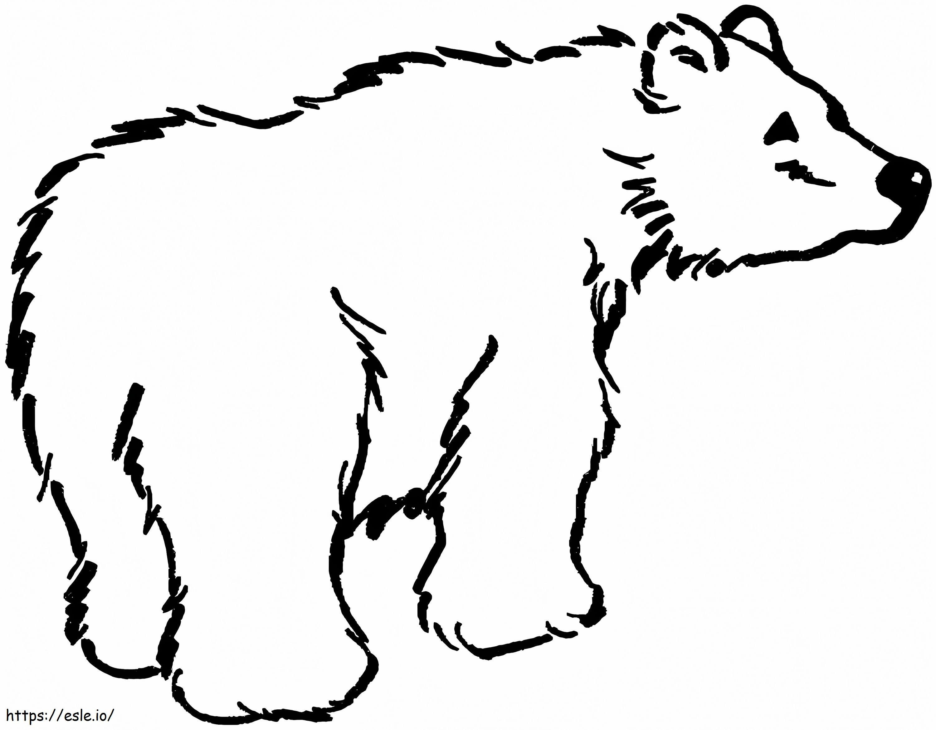Urso pardo para impressão grátis para colorir