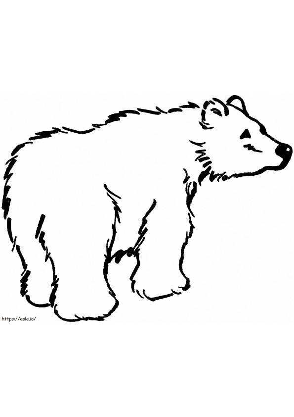 Free Printable Brown Bear coloring page