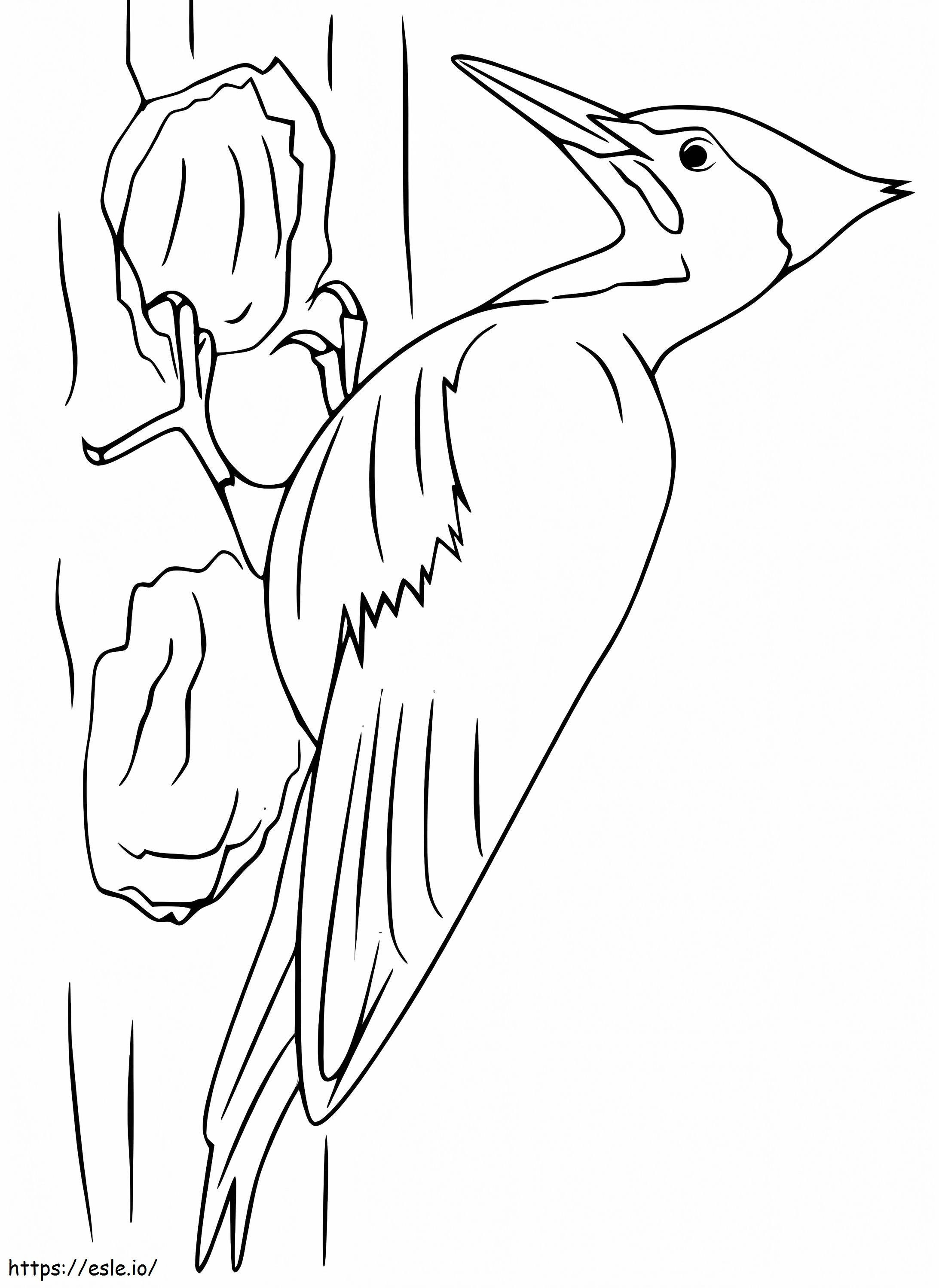 Hand Draw Woodpecker coloring page
