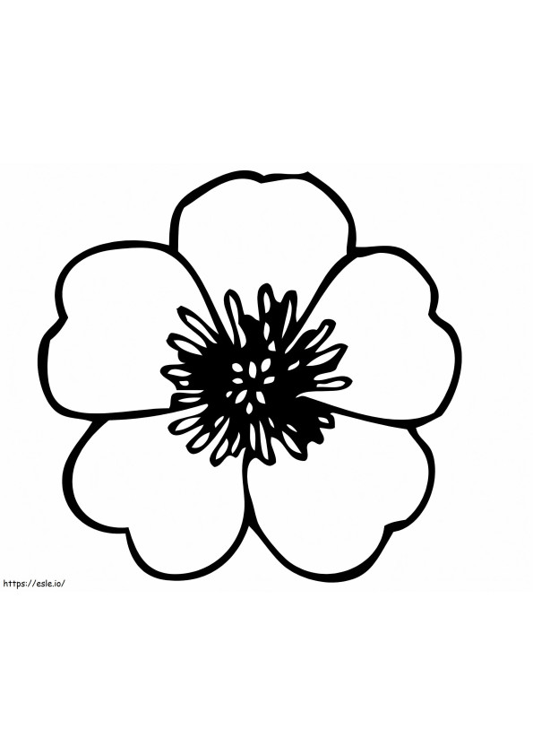 Easy Pansy Flower coloring page