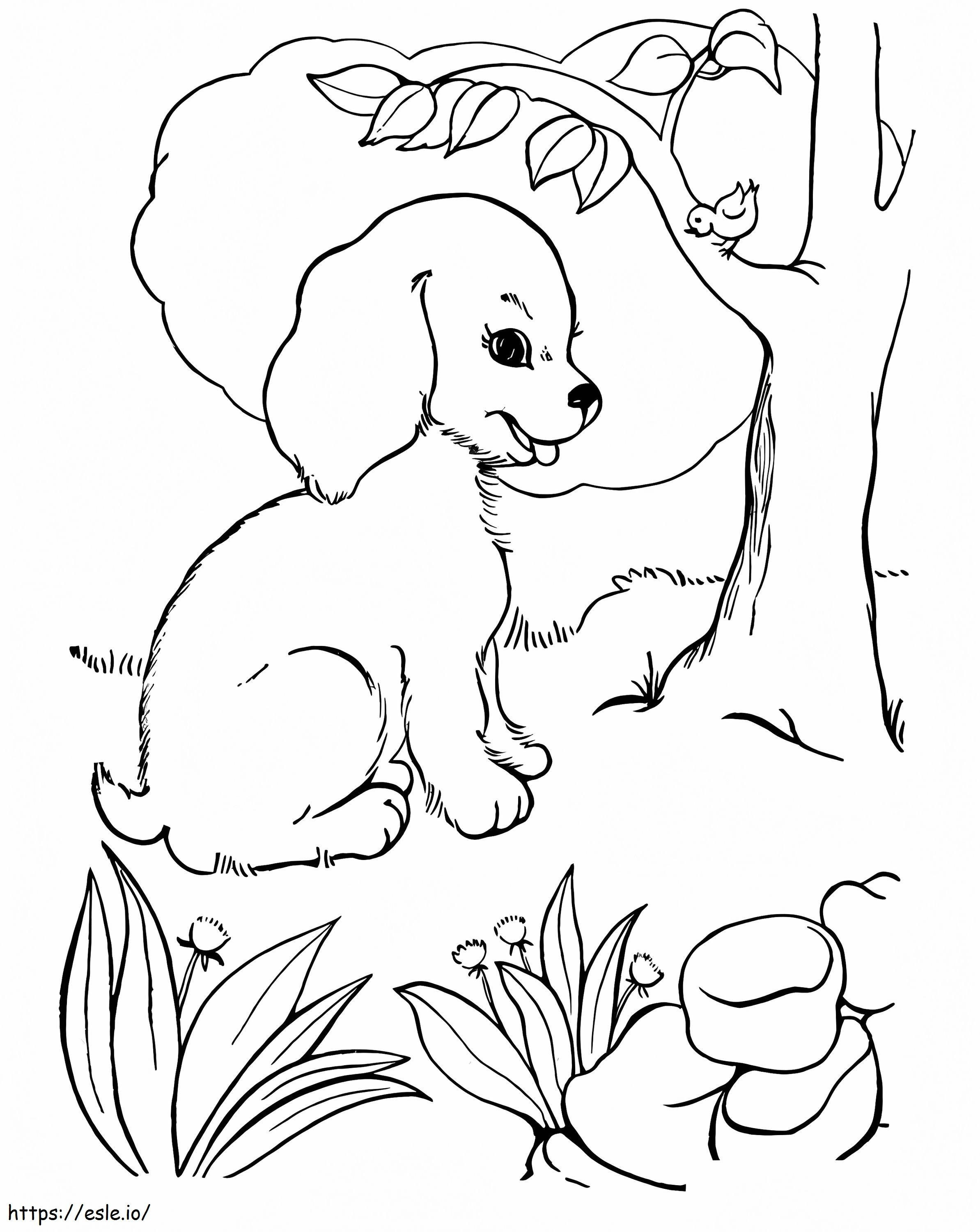Bird And Puppy coloring page
