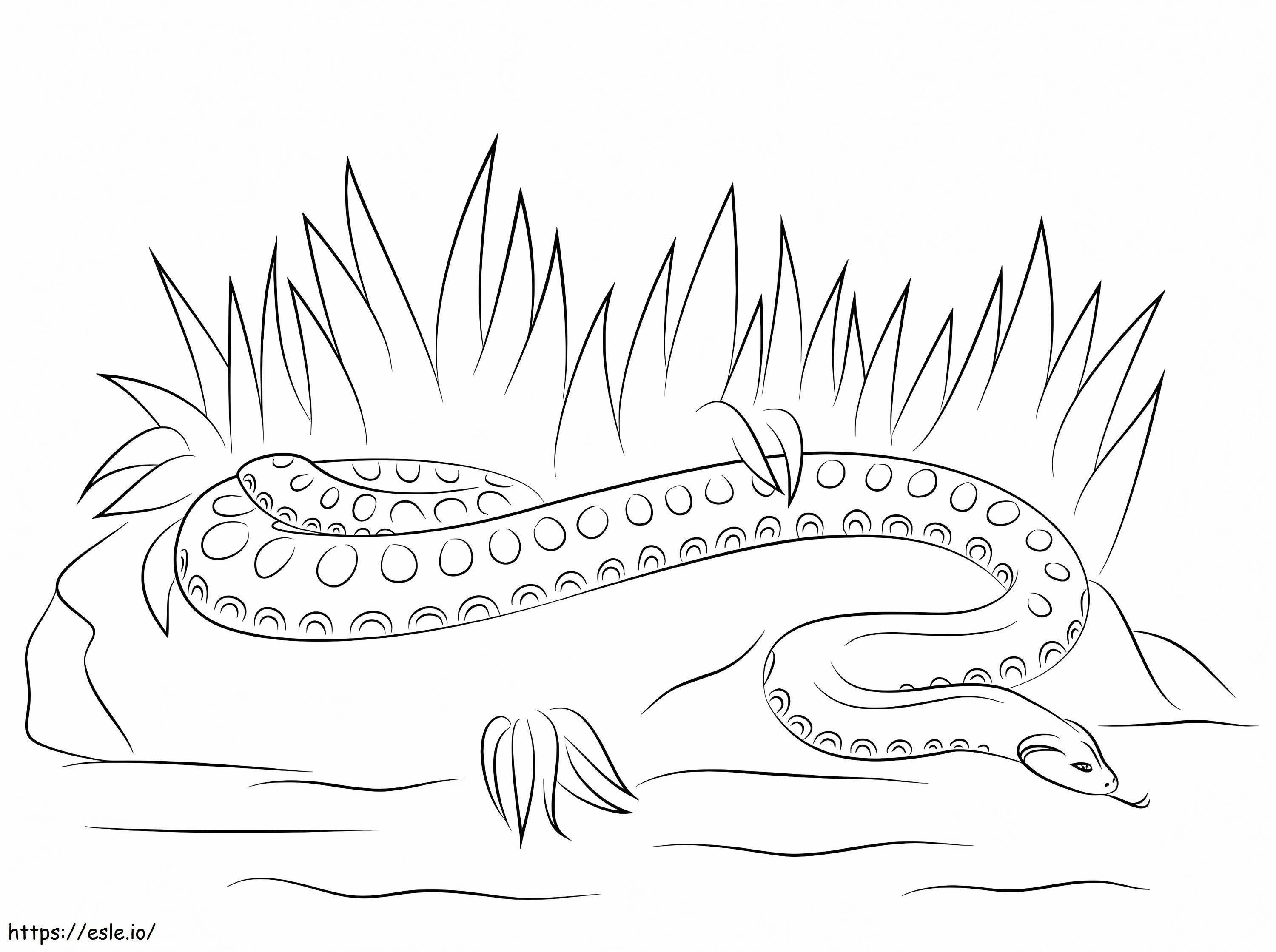 Yksinkertainen Anaconda värityskuva