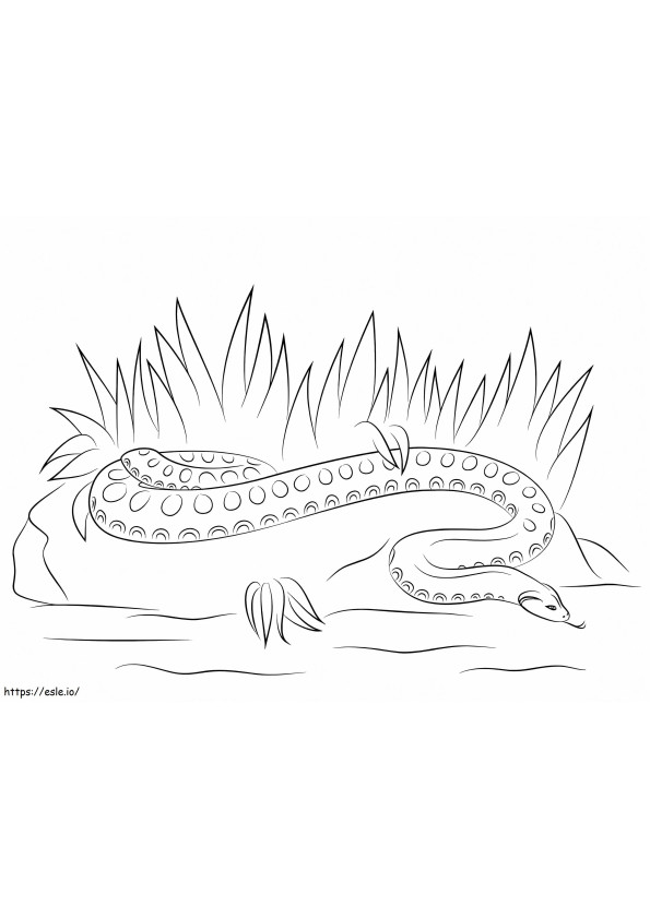 Anaconda Simples para colorir