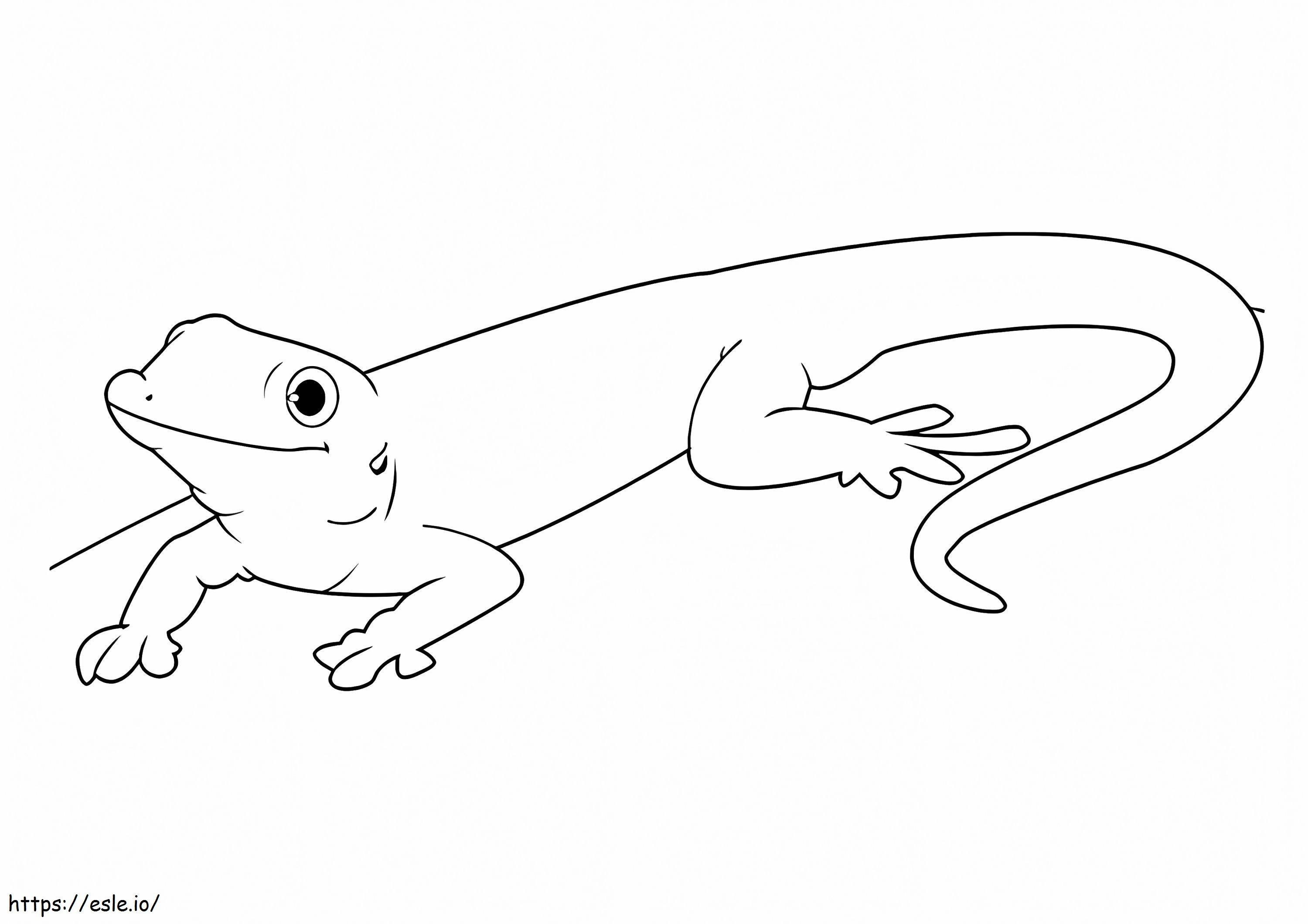 Coloriage Bon gecko à imprimer dessin