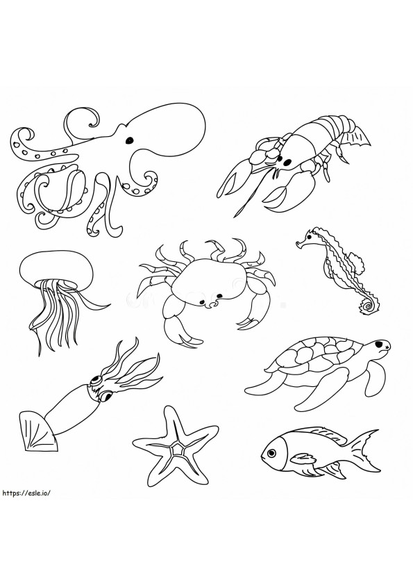 Basic Animals coloring page