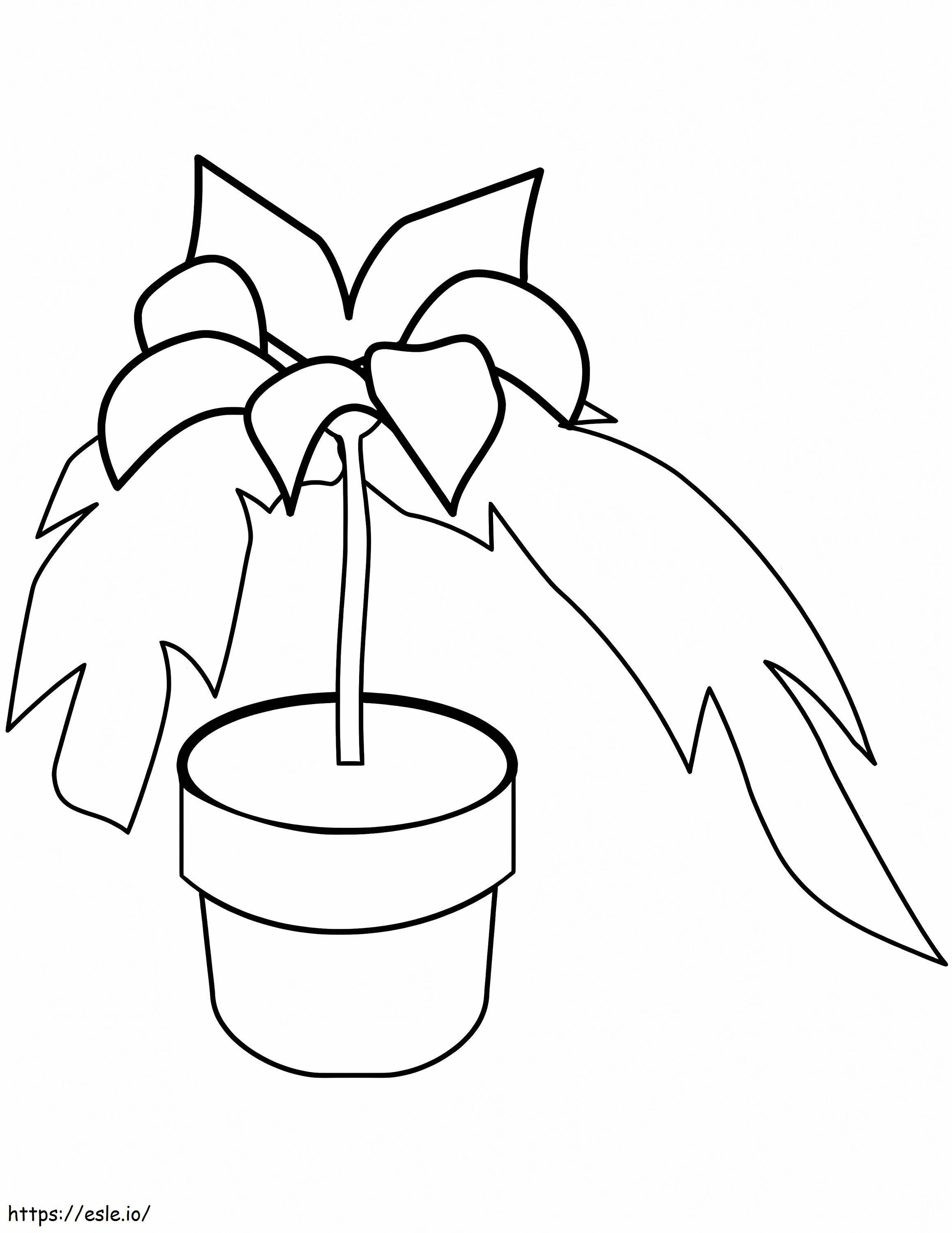 Coloriage Poinsettia imprimable dans un pot à imprimer dessin