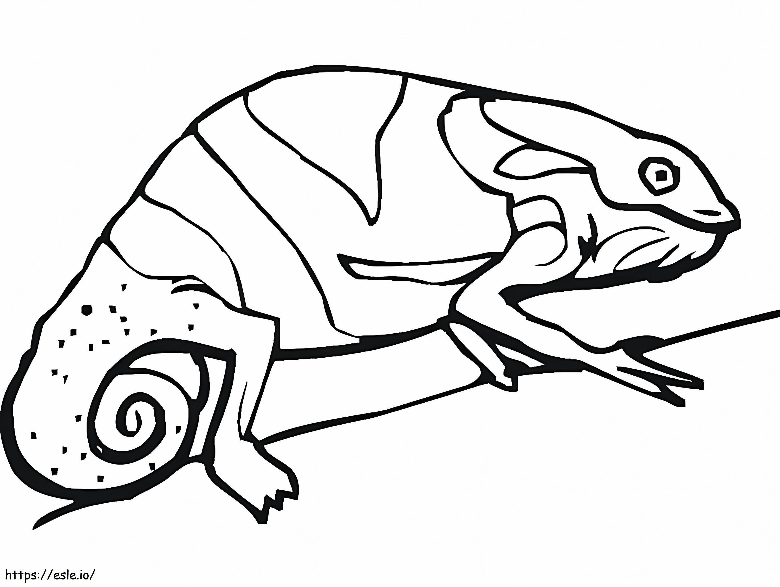 Camaleonte Su Un Ramo: disegni da colorare per bambini