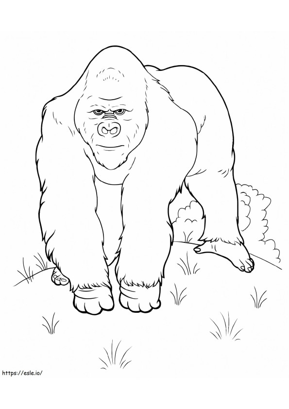 Awesome Gorilla coloring page