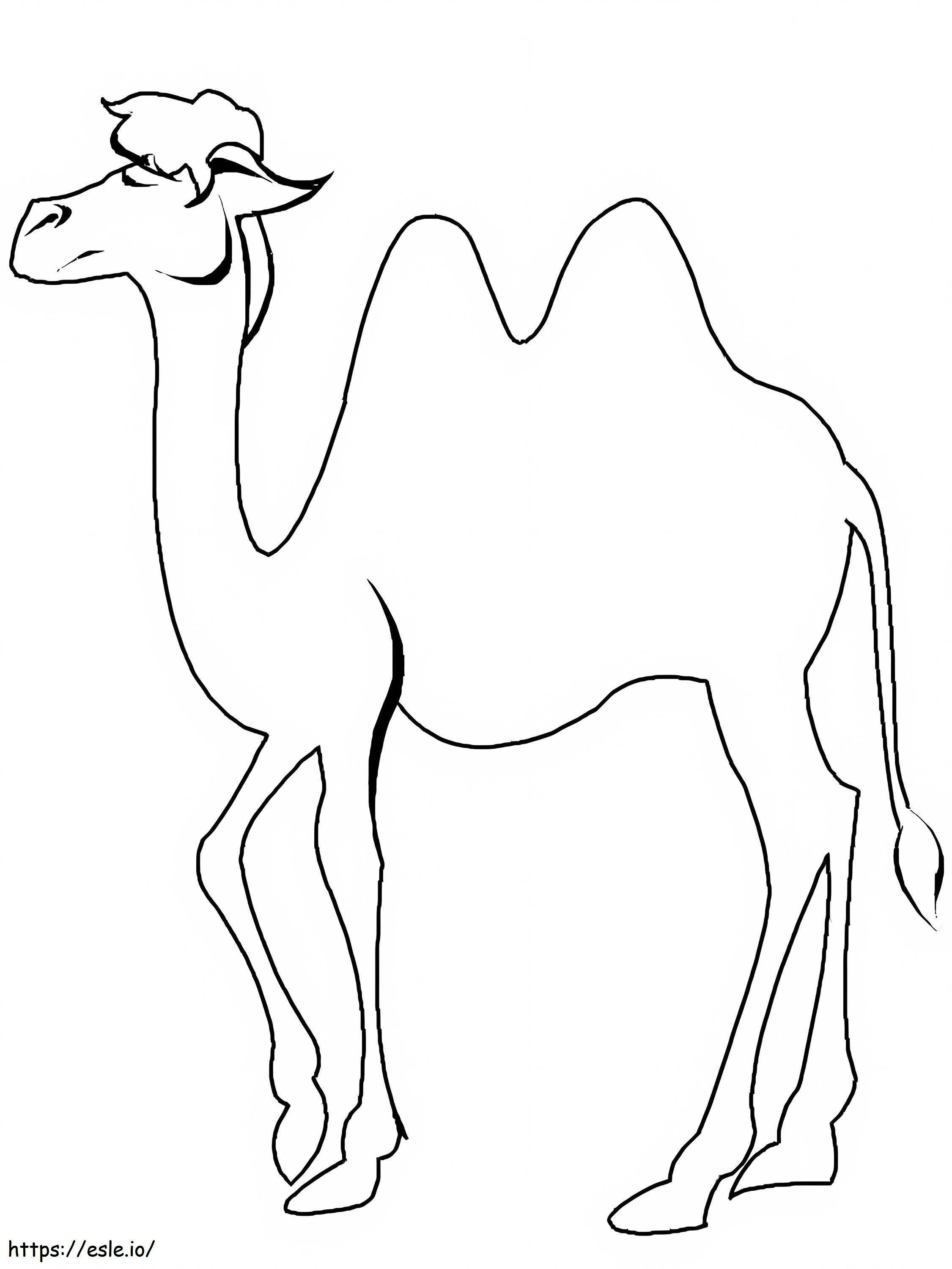 Einfaches Kamel ausmalbilder