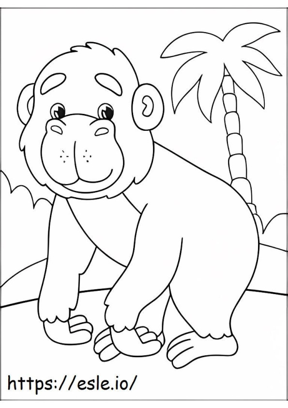 Ragazzo gorilla