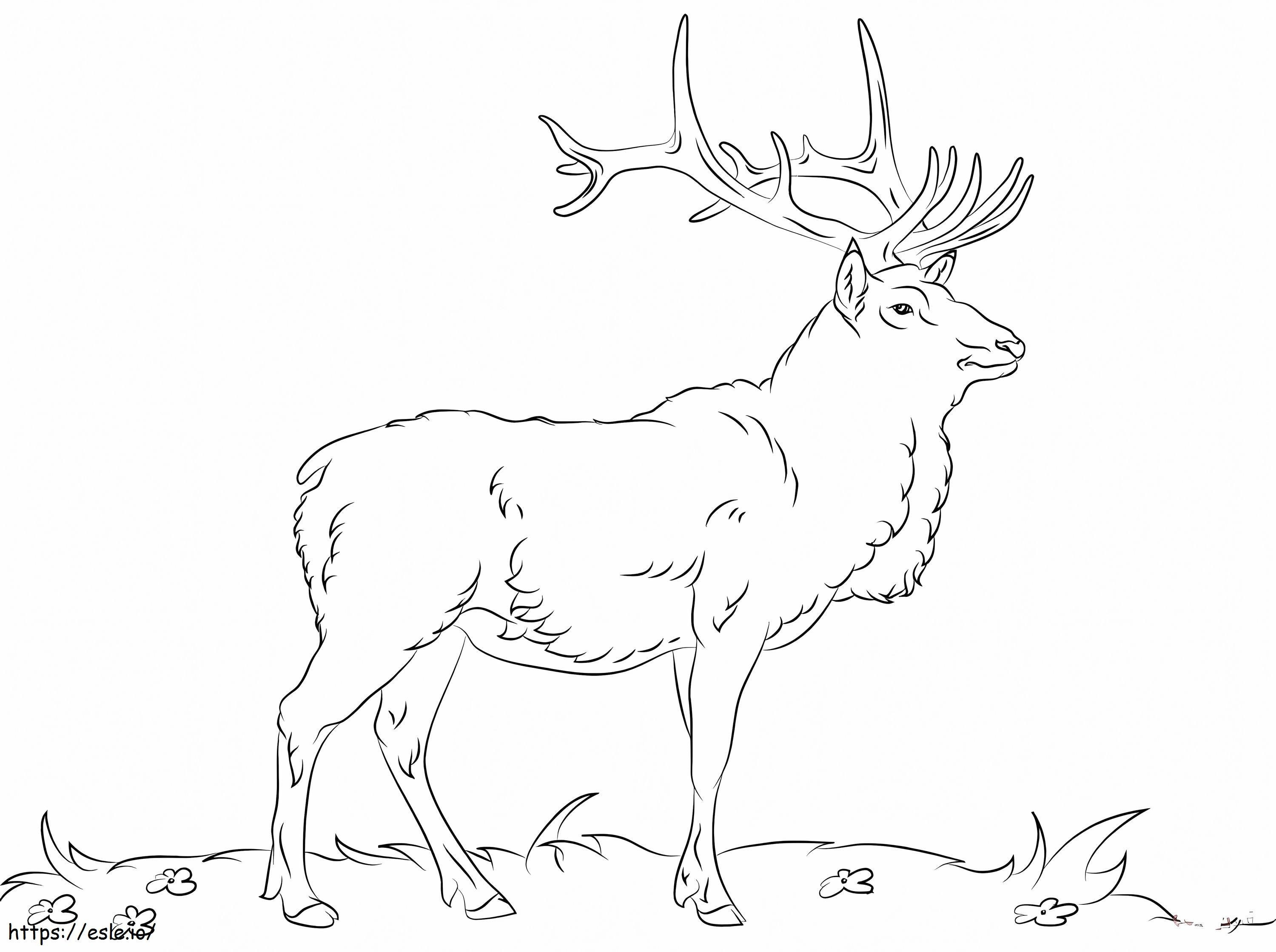 Alce Simple coloring page