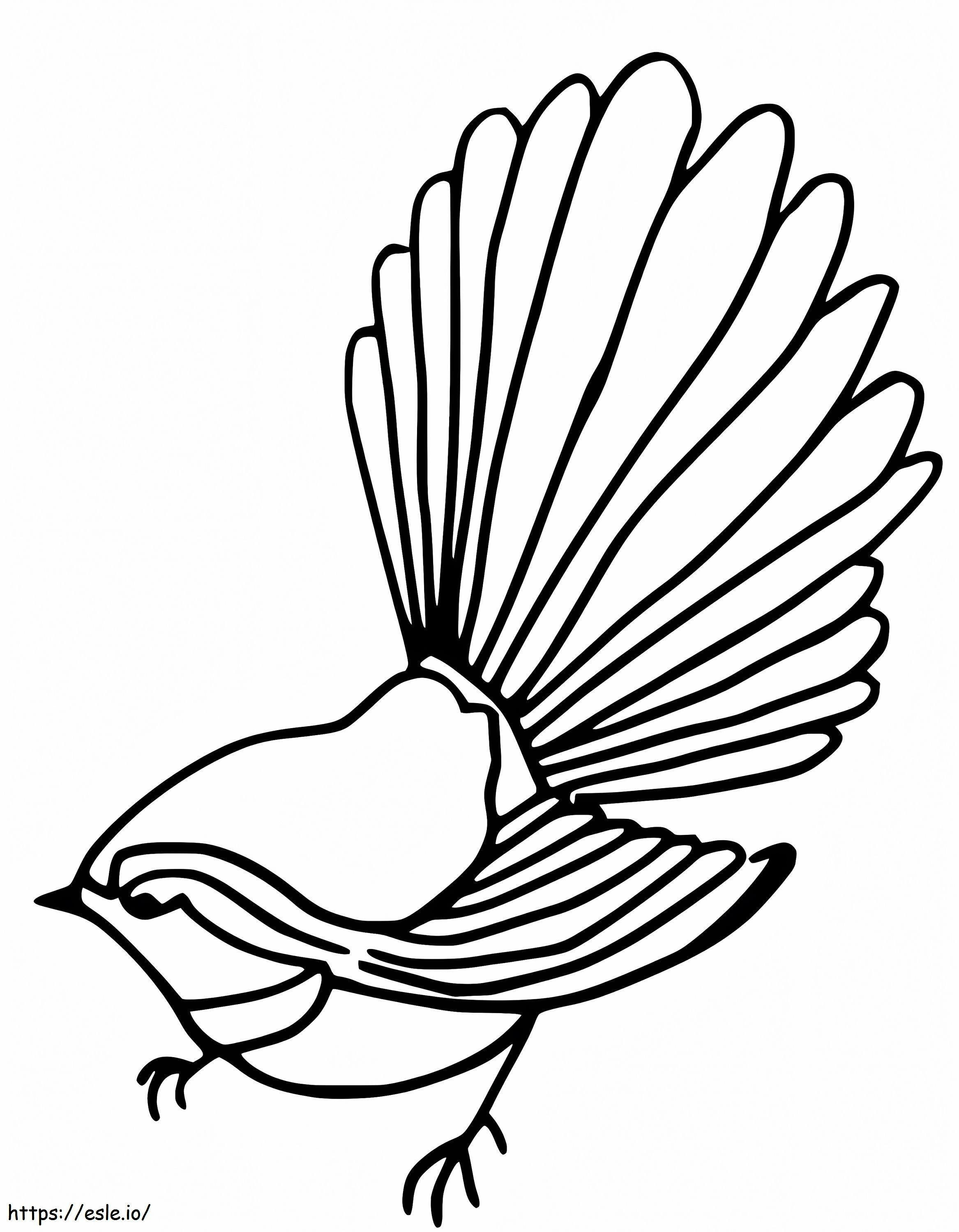 Free Fantail coloring page