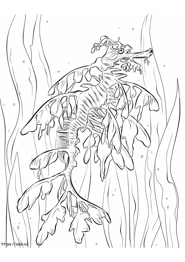 Liściasty Seadragon 1 kolorowanka