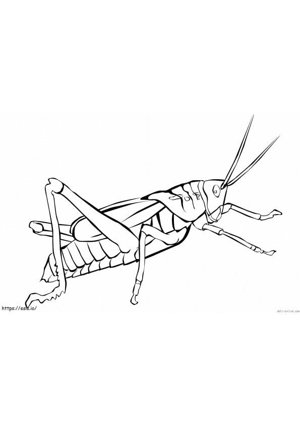 Good Grasshopper coloring page