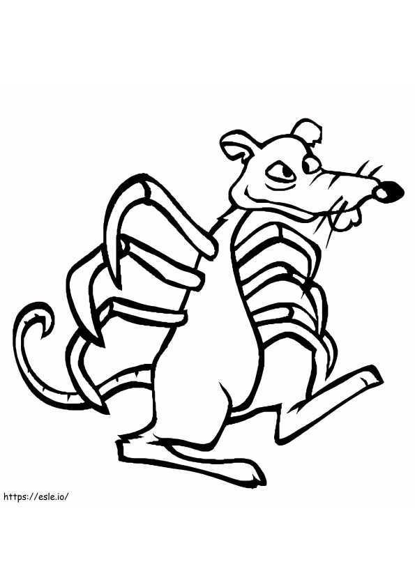 Arana Rata