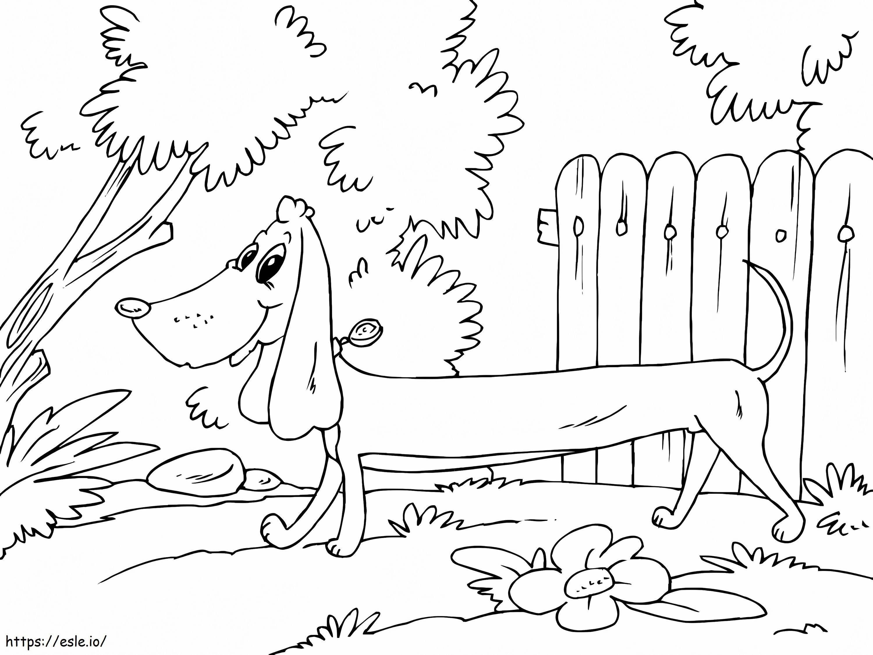 Smiling Dachshund coloring page