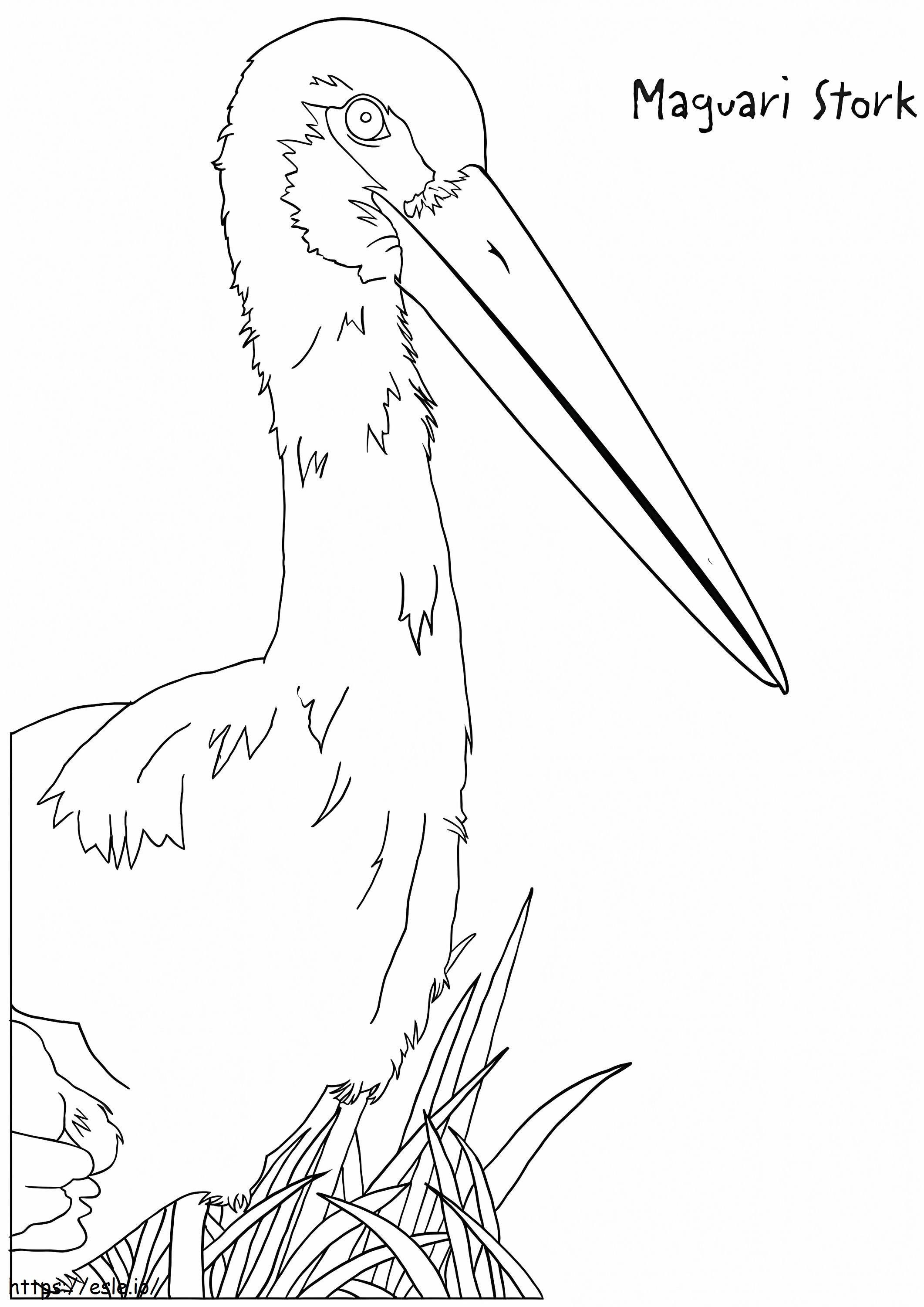 Maguari gólya kifestő
