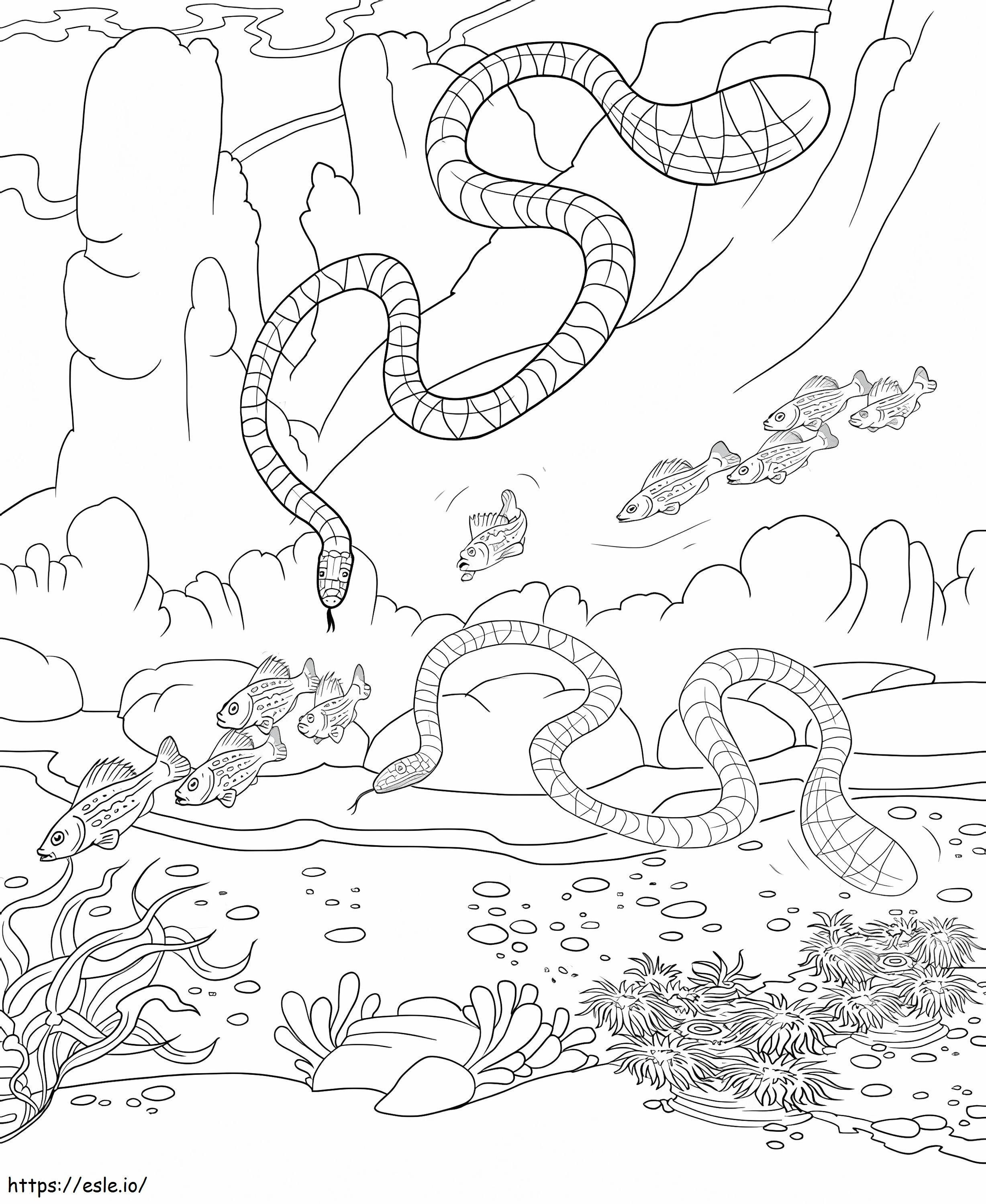 Coloriage Deux serpents de mer avec du poisson à imprimer dessin