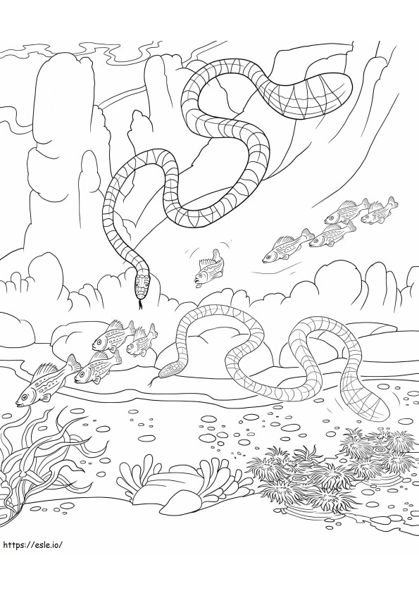 Two Sea Snakes With Fish coloring page