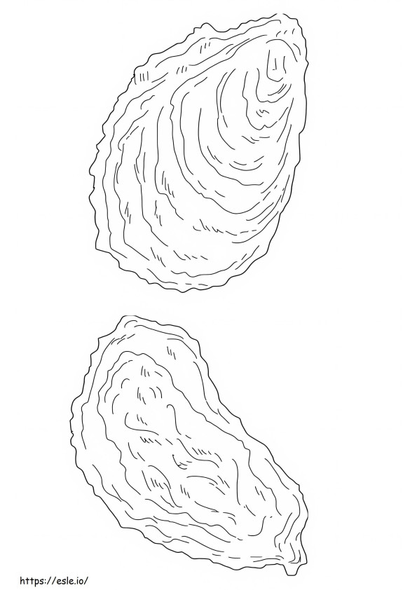 Oyster Mussel coloring page