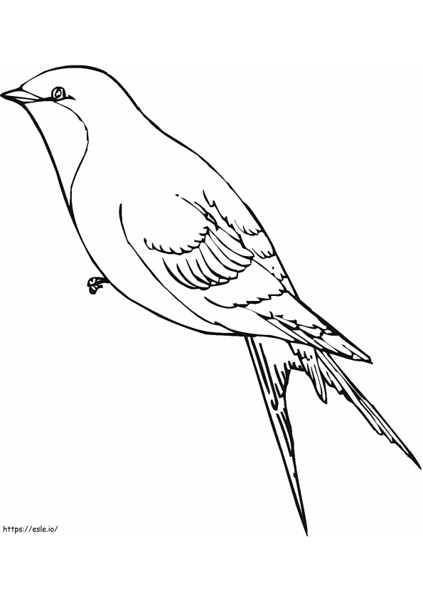 Printable Swallow coloring page