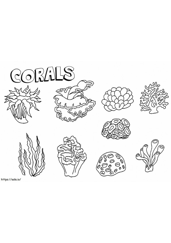Coralii 1 de colorat