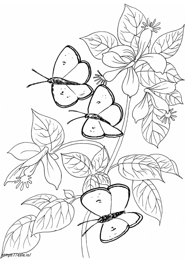 Coloriage Trois papillons volant à imprimer dessin