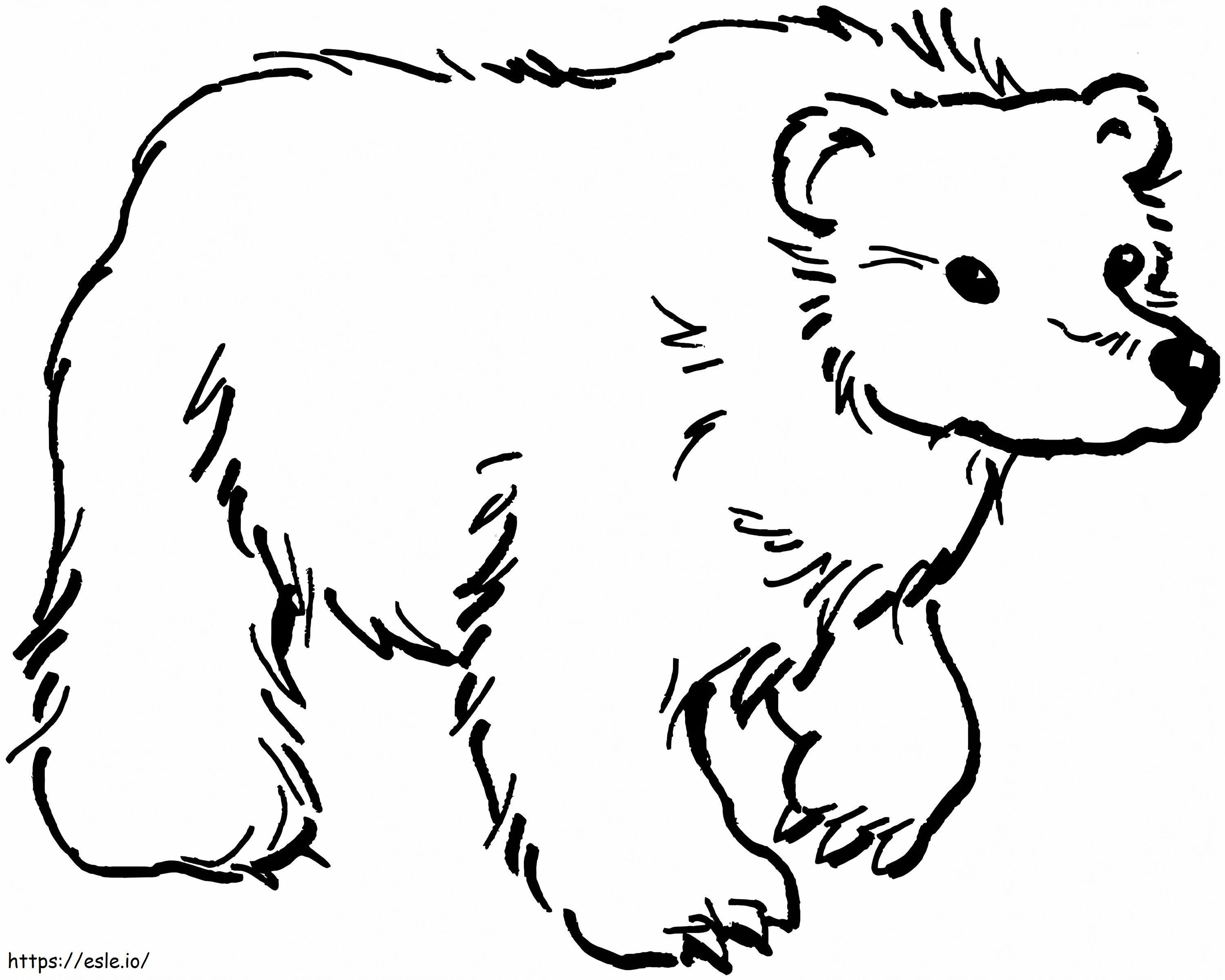 Niedźwiedź brunatny do wydrukowania kolorowanka