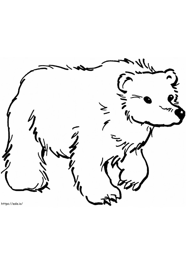Urso pardo para imprimir para colorir