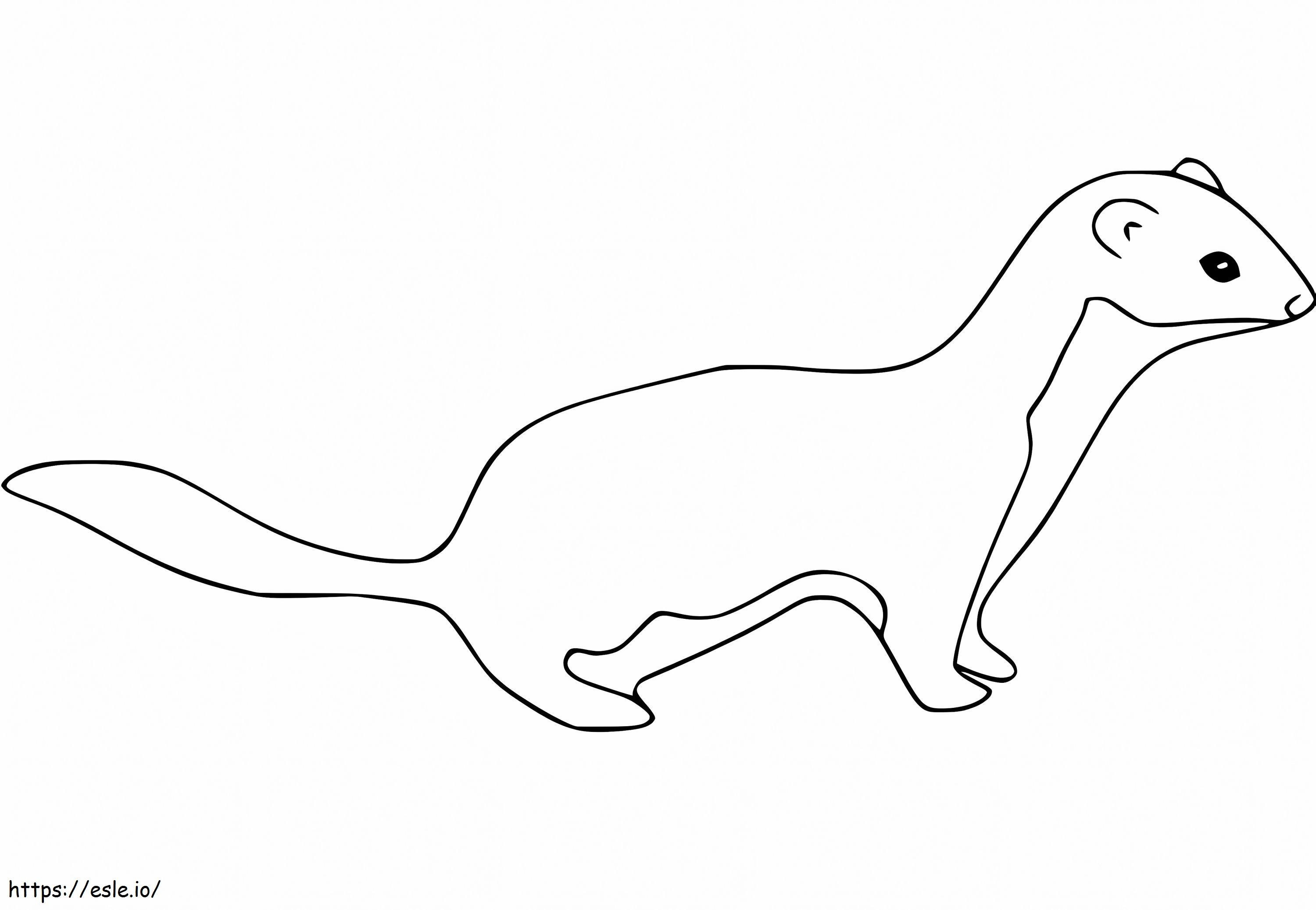 Little Weasel coloring page