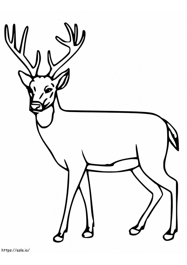 Red Deer Printable